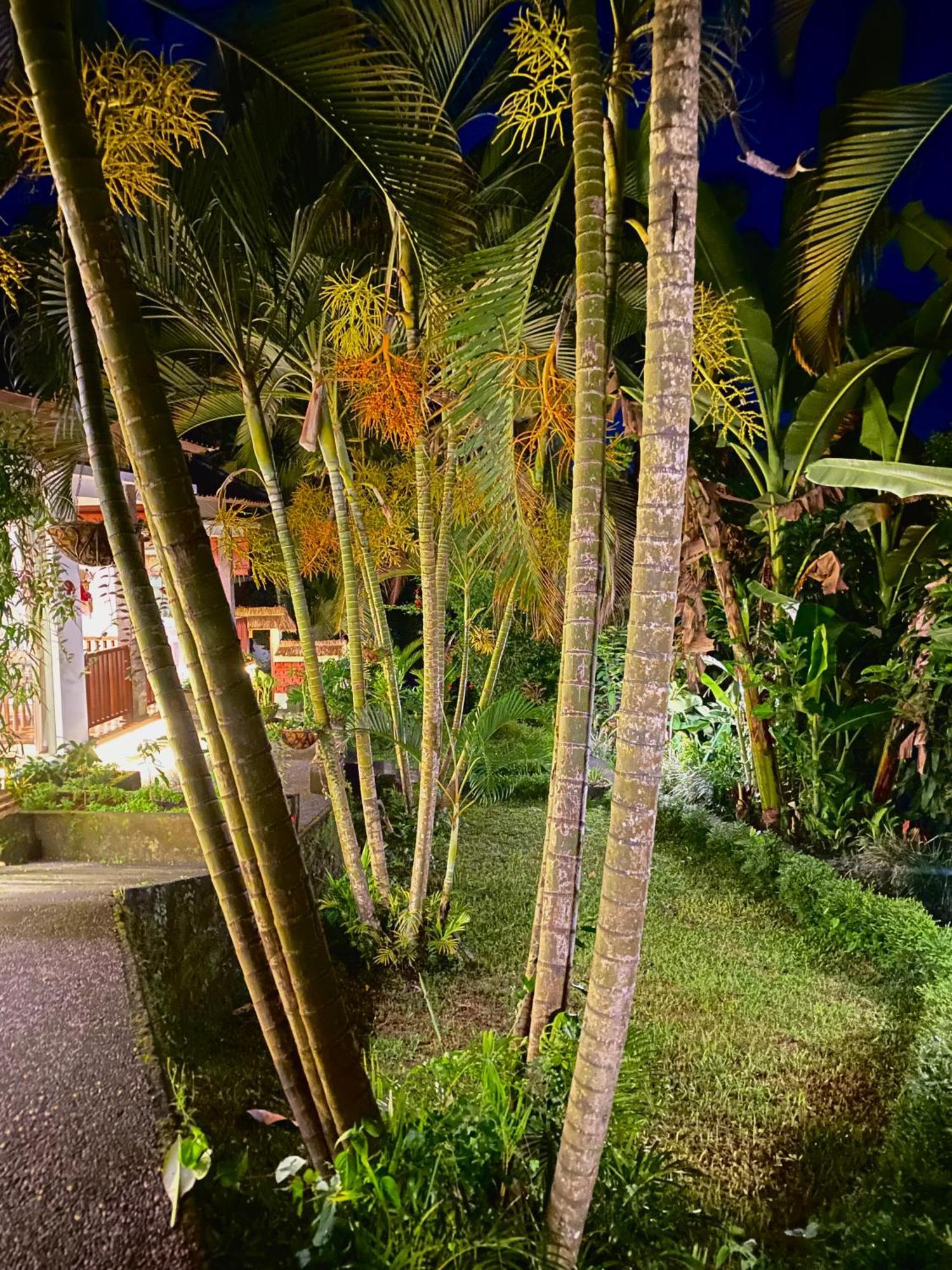 Ardan Maison Ubud エクステリア 写真